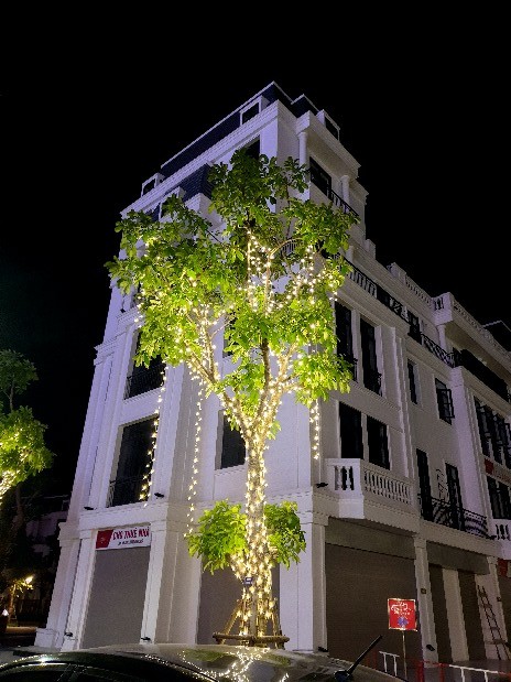 Led cay 01