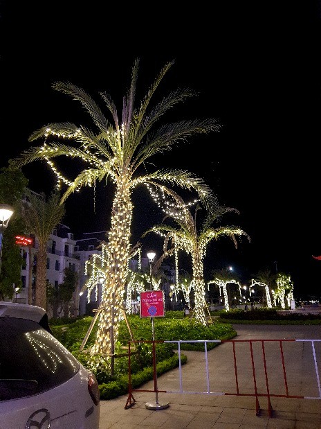 Led cay 07