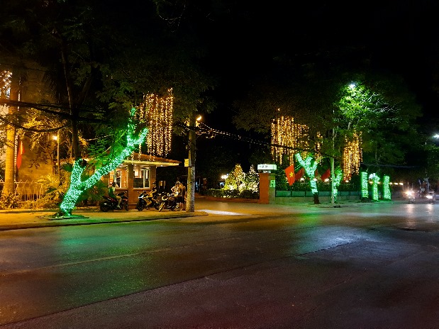 Led cay 08