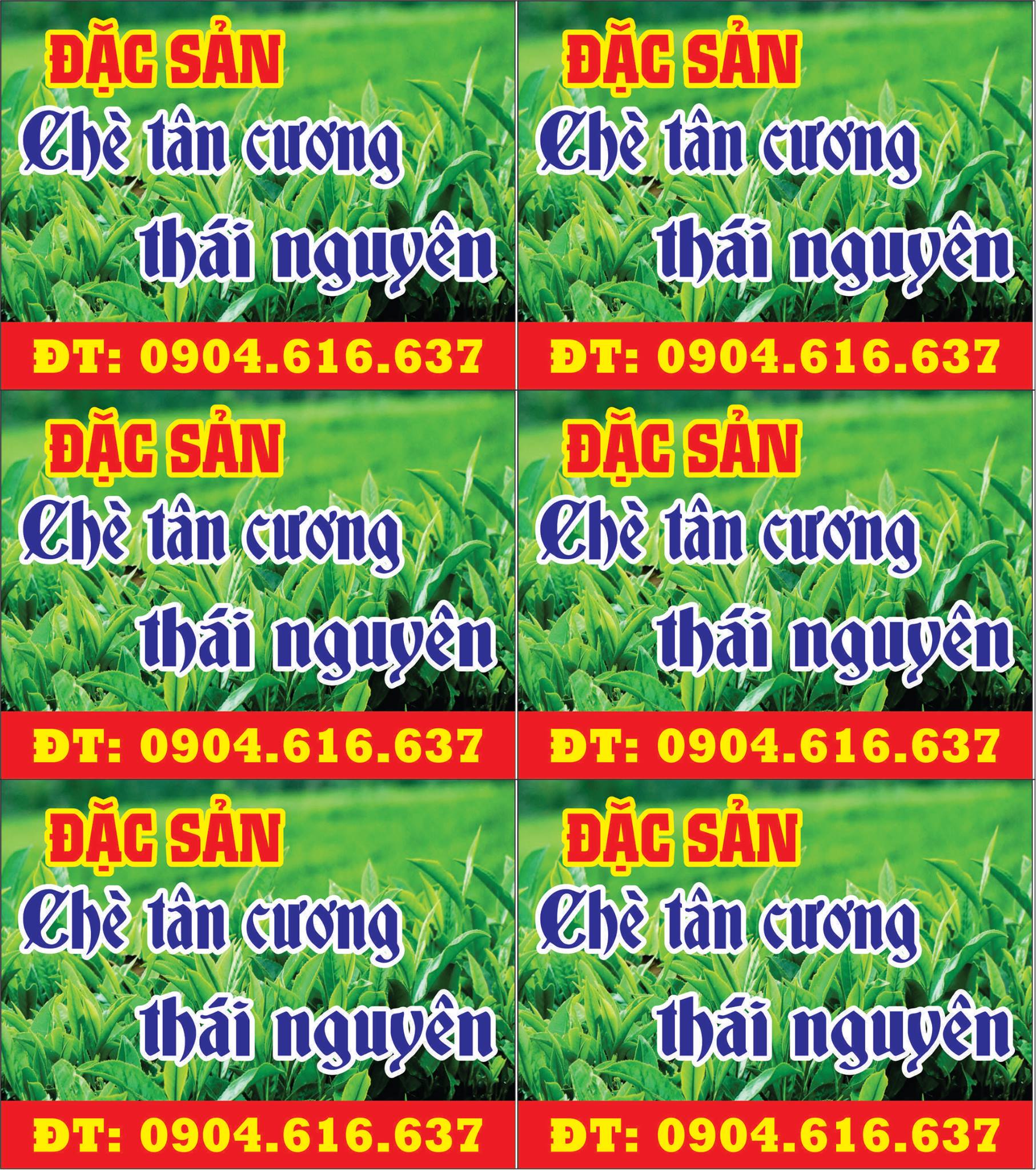 che thai nguyen