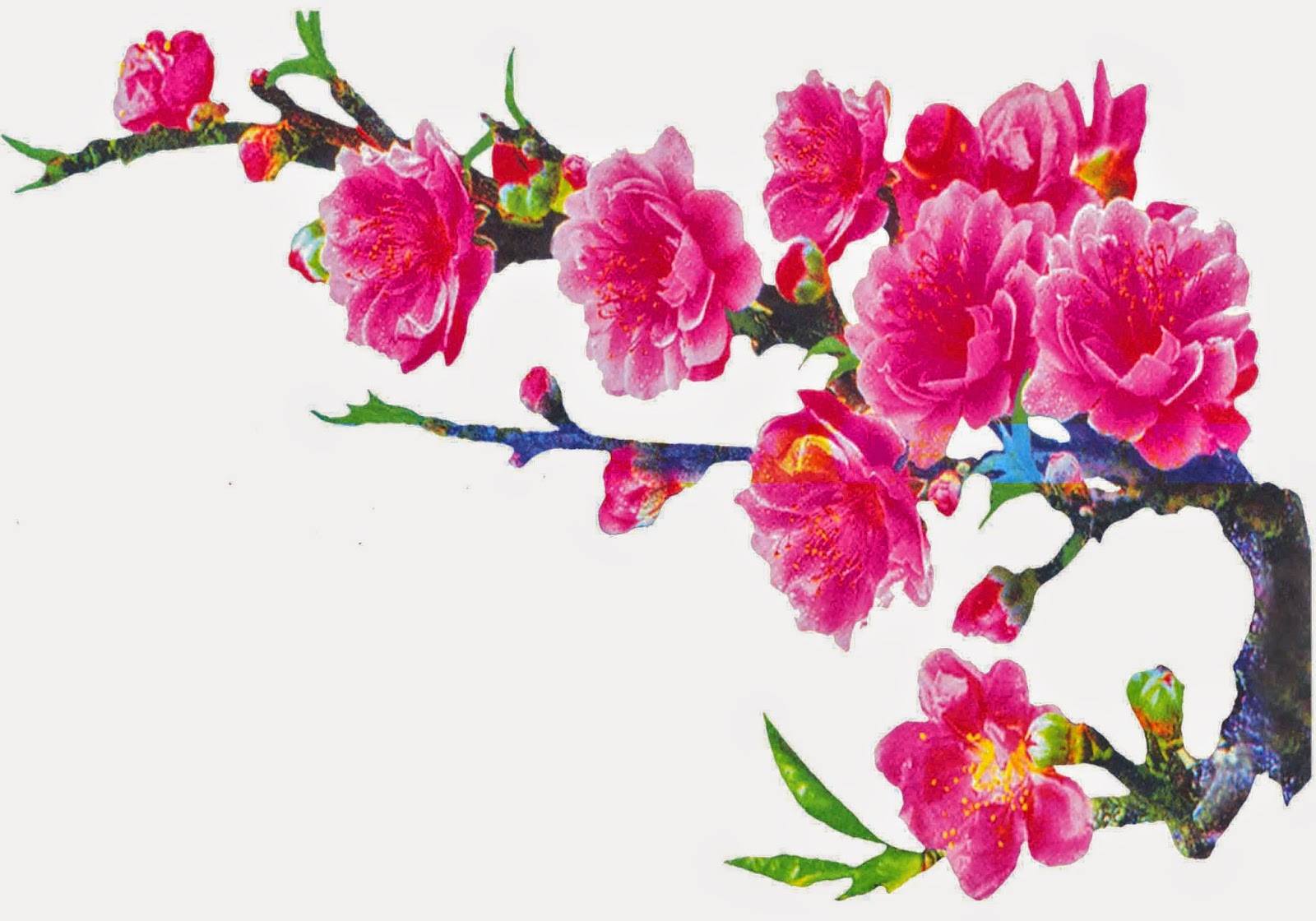 trang tri tet 04