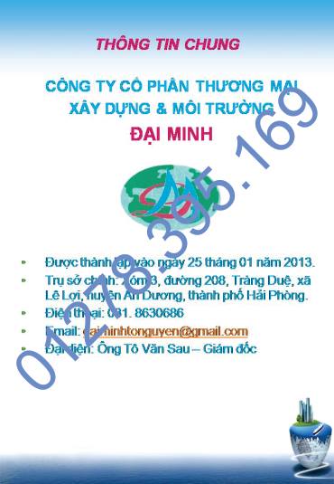 cong ty dai minh 02