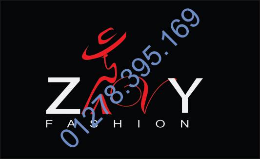 zavy shop 01