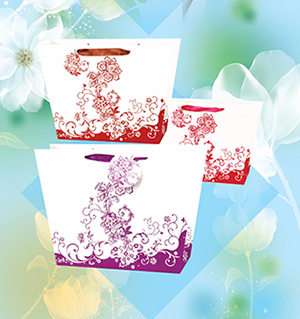 tui giay 6
